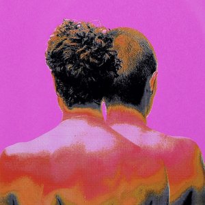 Hohe Erwartungen - Single