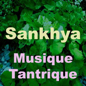 Musique tantrique (Vol. 1)