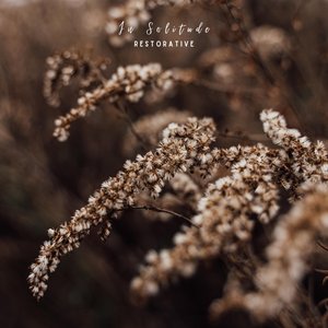 In Solitude - Single