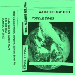 Puddle Dives