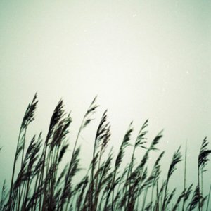 El Mar