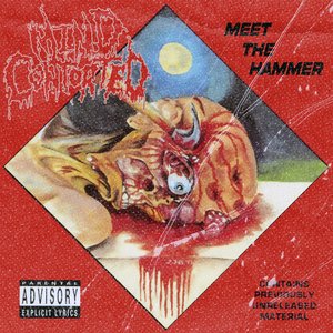 Meet The Hammer