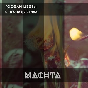 горели цветы в подворотнях