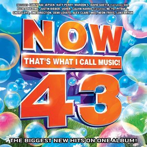 Image for 'Now That's What I Call Music! 43'