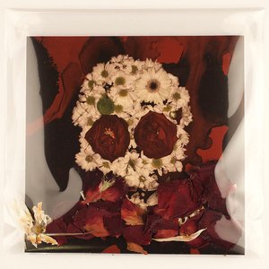 dead flowers