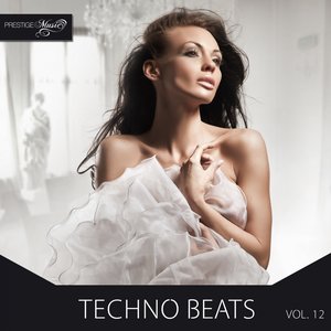 Techno Beats, Vol. 12