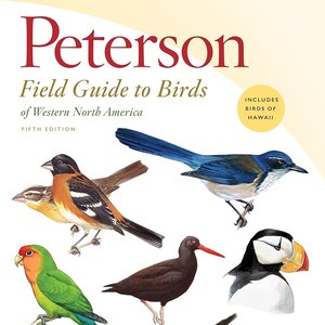 Peterson Field Guides 的头像