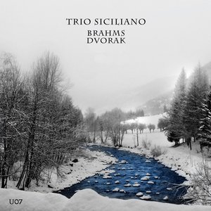 Johannes Brahms, Antonín Dvorák : Trios