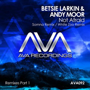 Not Afraid (Remixes Part 1)
