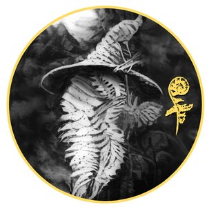 Fernmage 的头像