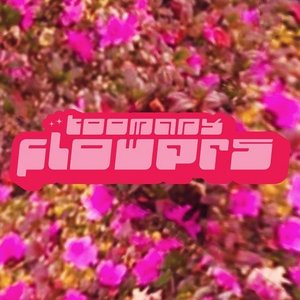 Avatar for toomanyflowers