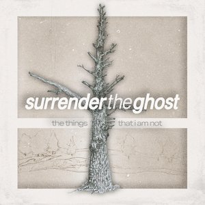 The Things That I Am Not