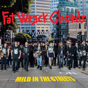 Immagine per 'Mild in the Streets: Fat Music Unplugged'