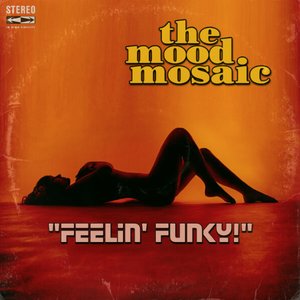 Feelin' Funky!