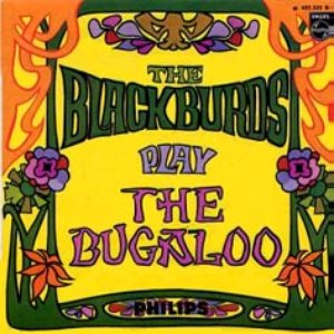 The Blackburds 的头像