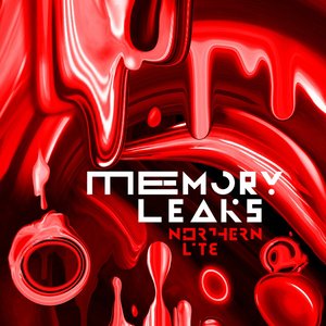 Memory Leaks