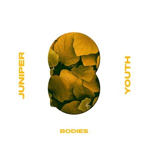 Bodies