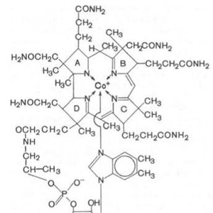 Image for 'Компливитные системы'