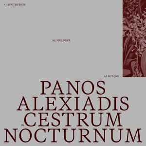 Cestrum Nocturnum
