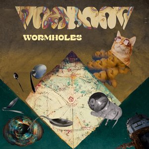 Wormholes