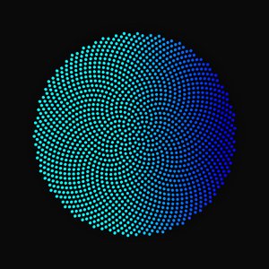 The History of Earth Observations