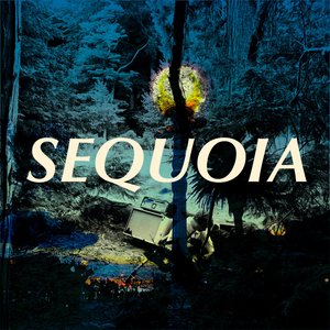 Sequoia