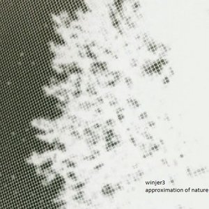Approximation of Nature