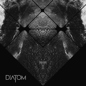 Diatom