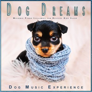 Dog Dreams: Melodic Piano Lullabies for Restful Dog Sleep