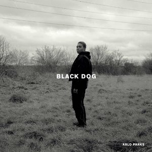 Black Dog