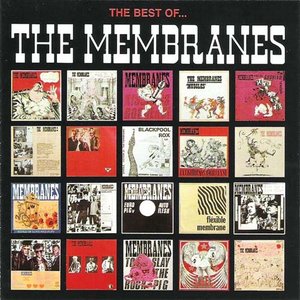 The Best of The Membranes