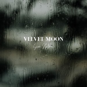 Velvet Moon