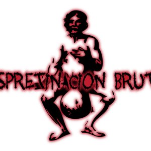 Image for 'Despretinacion Brutal'