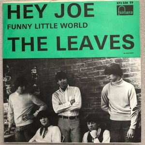 Hey Joe / Funny Little World
