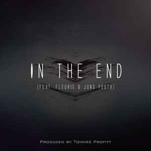 Tommee Profitt - In The End - Zortam Music