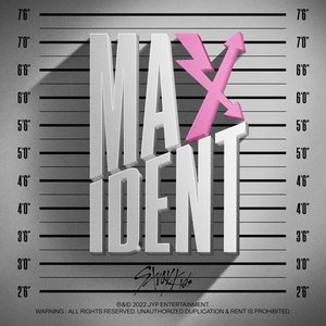 Image for 'MAXIDENT'