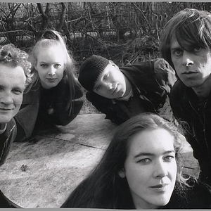 Beeswamp photo provided by Last.fm