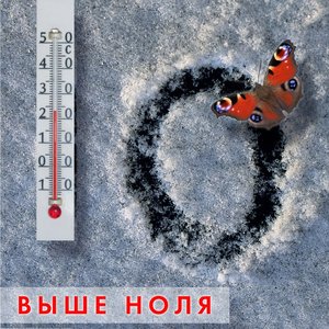 Выше Ноля. Концерт в ЛДМ 2015.