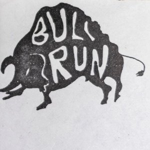 Bull Run 的头像