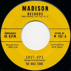 The Wild Tones 的头像