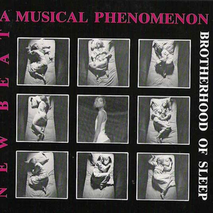 The Brotherhood of Sleep photo provided by Last.fm