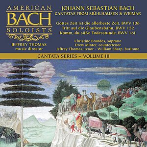 J.S. Bach - Cantatas Volume III