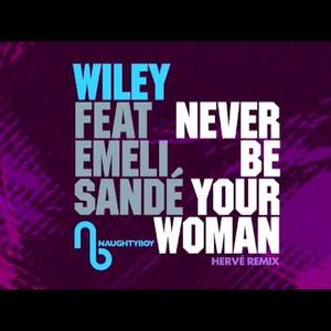 Naughty Boy Pres. Wiley feat. Emeli Sande 的头像