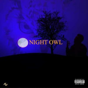 Night Owl