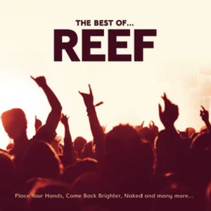 Reef: The Best Of
