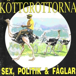 Image for 'Sex Politik & Fåglar'