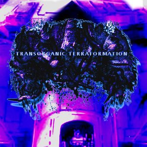 Transorganic Terraformation Albums And Discography Last Fm