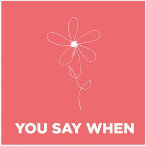 Image for 'You Say When'