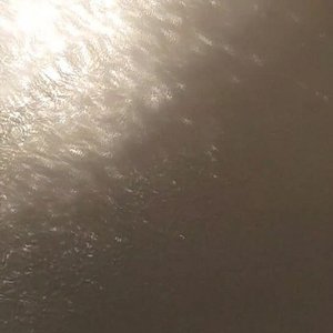 Distill