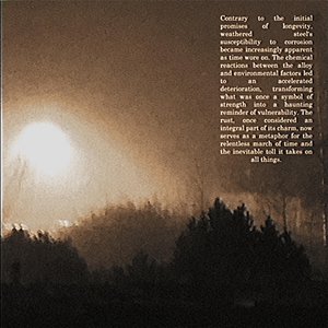 weathered steel (feat. Caller L'Orignal) - Single